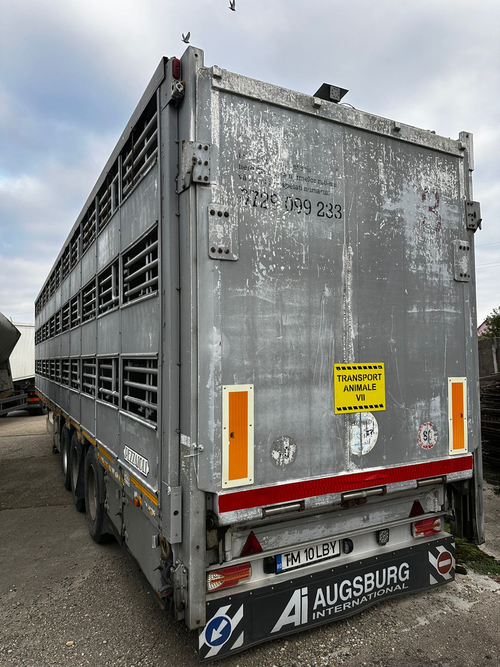 PEZZAIOLLI Animal Transport Semi-trailer - Návěs na přepravu zvířat: obrázek 4 PEZZAIOLLI Animal Transport Semi-trailer - Návěs na přepravu zvířat: obrázek 4