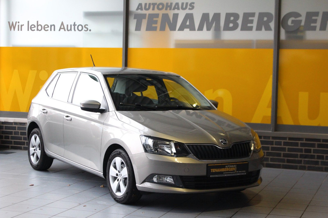 Skoda Fabia Ambition Klima Tempomat Bluetooth - Hatchback: obrázek 2 Skoda Fabia Ambition Klima Tempomat Bluetooth - Hatchback: obrázek 2