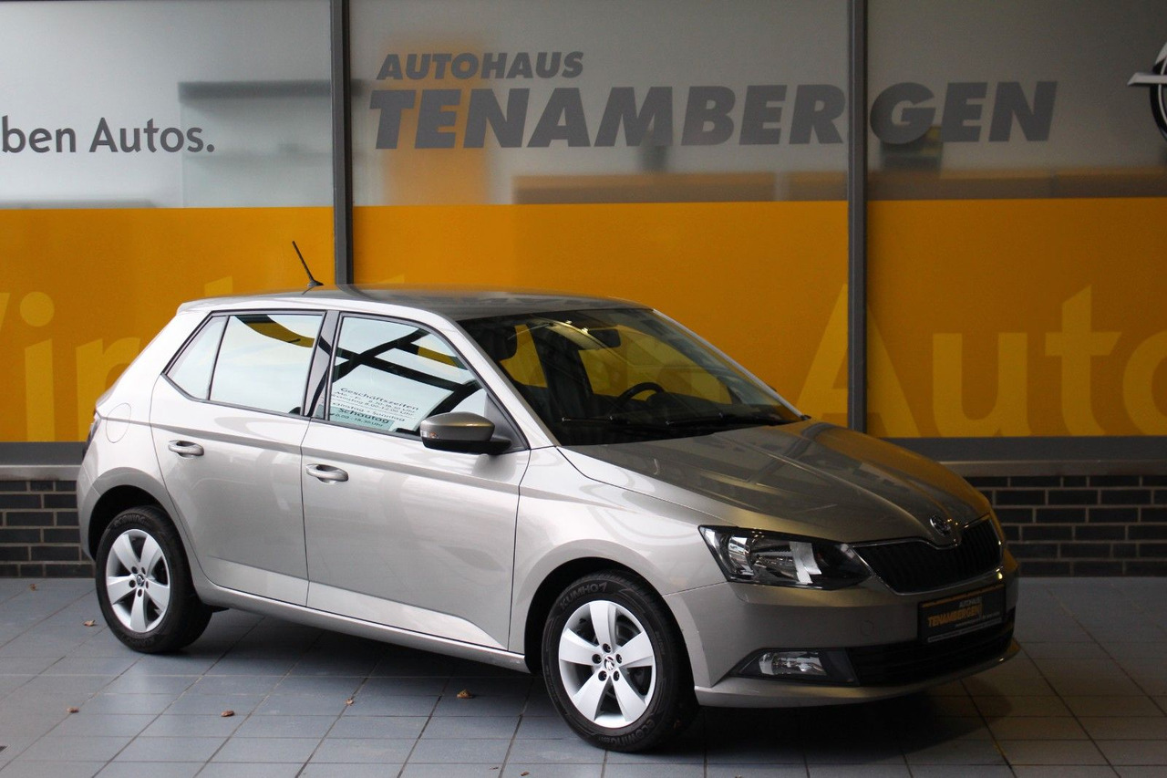 Skoda Fabia Ambition Klima Tempomat Bluetooth - Hatchback: obrázek 1 Skoda Fabia Ambition Klima Tempomat Bluetooth - Hatchback: obrázek 1