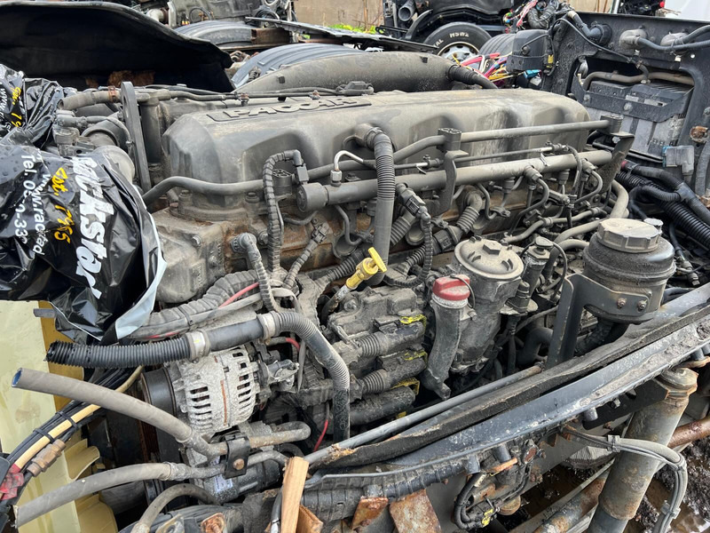 DAF MX13 375 H1 - Motor: obrázek 3 DAF MX13 375 H1 - Motor: obrázek 3