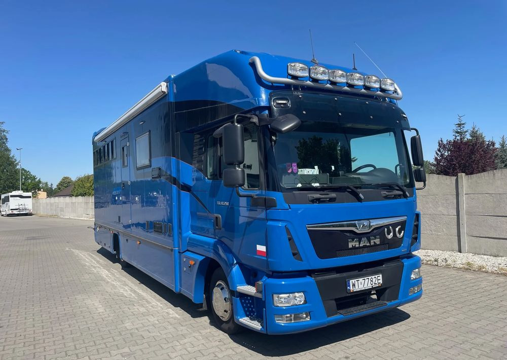 MAN TGL 12.250/ KONIOWÓZ- ROELOFSEN/ 4 KONIE/ - Auto na přepravu koní: obrázek 2 MAN TGL 12.250/ KONIOWÓZ- ROELOFSEN/ 4 KONIE/ - Auto na přepravu koní: obrázek 2