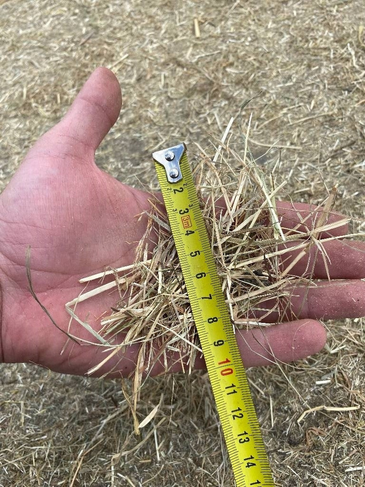 Bizon B-1030 no teagle, roto grind haybuster Grinder, Hä  leasing Bizon B-1030 no teagle, roto grind haybuster Grinder, Hä: obrázek 12