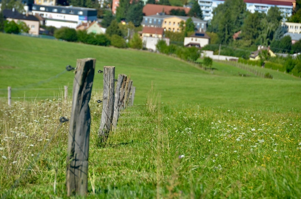 Zaunmäher TriCut A1250 Leitplankenmäher Pfahlmäher - Žací stroj: obrázek 4 Zaunmäher TriCut A1250 Leitplankenmäher Pfahlmäher - Žací stroj: obrázek 4