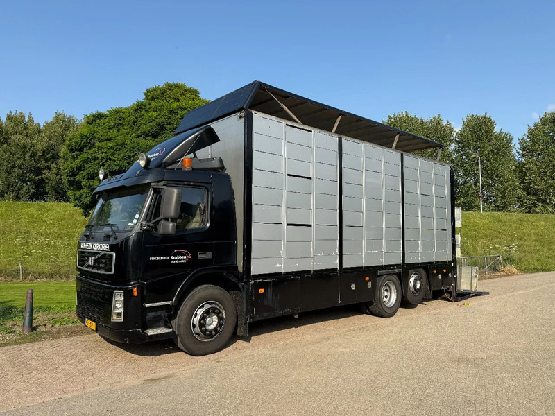 Volvo FM 300 Livestock Cuppers 3 laags 6x2 - Přepravník zvířat: obrázek 1 Volvo FM 300 Livestock Cuppers 3 laags 6x2 - Přepravník zvířat: obrázek 1