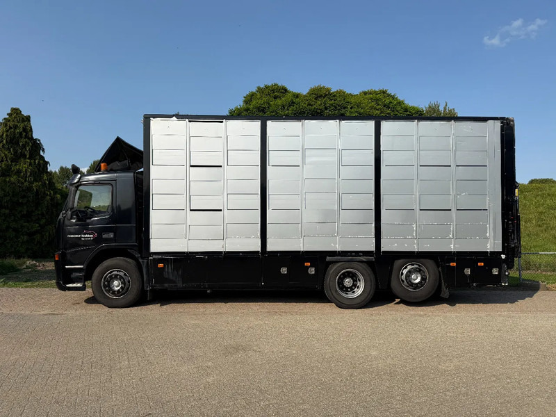 Volvo FM 300 Livestock Cuppers 3 laags 6x2 - Přepravník zvířat: obrázek 4 Volvo FM 300 Livestock Cuppers 3 laags 6x2 - Přepravník zvířat: obrázek 4