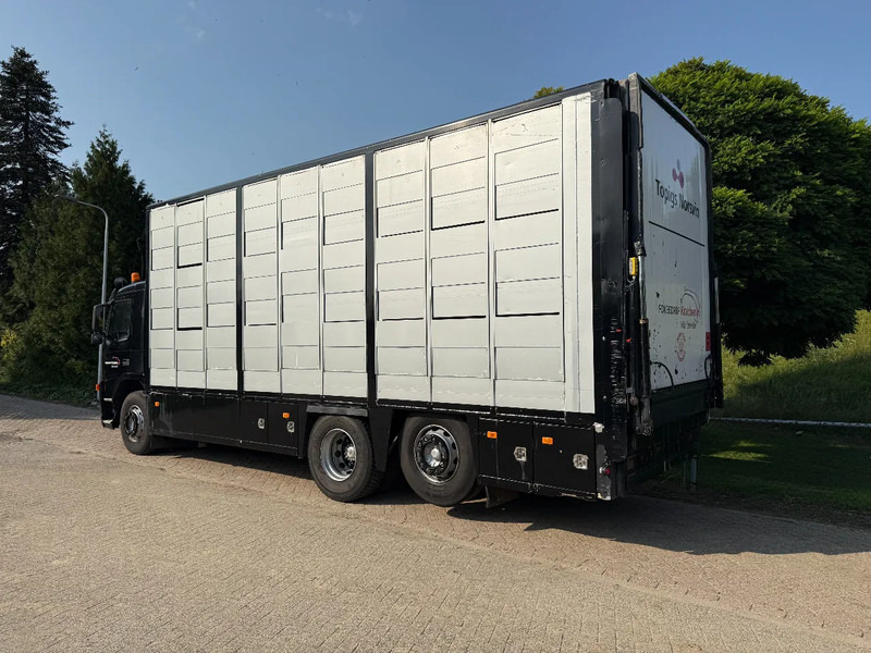Volvo FM 300 Livestock Cuppers 3 laags 6x2 - Přepravník zvířat: obrázek 5 Volvo FM 300 Livestock Cuppers 3 laags 6x2 - Přepravník zvířat: obrázek 5