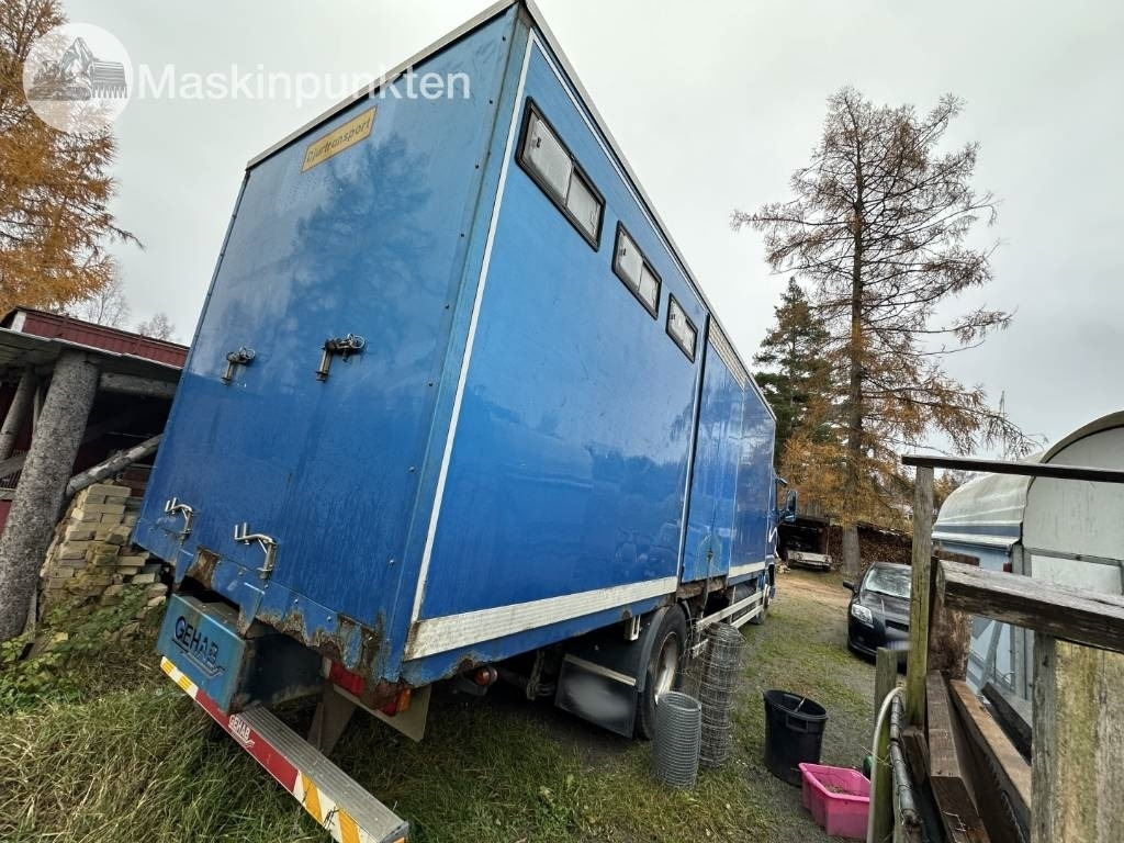 Volvo FH 12 - Přepravník zvířat: obrázek 4 Volvo FH 12 - Přepravník zvířat: obrázek 4