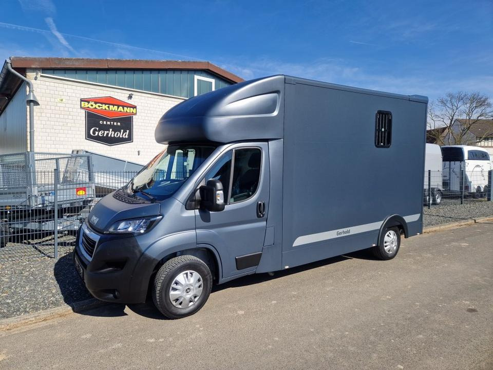 MSG Stablehopper Pferdetransporter Pferdeanhänger Böckmann - Auto na přepravu koní: obrázek 2 MSG Stablehopper Pferdetransporter Pferdeanhänger Böckmann - Auto na přepravu koní: obrázek 2