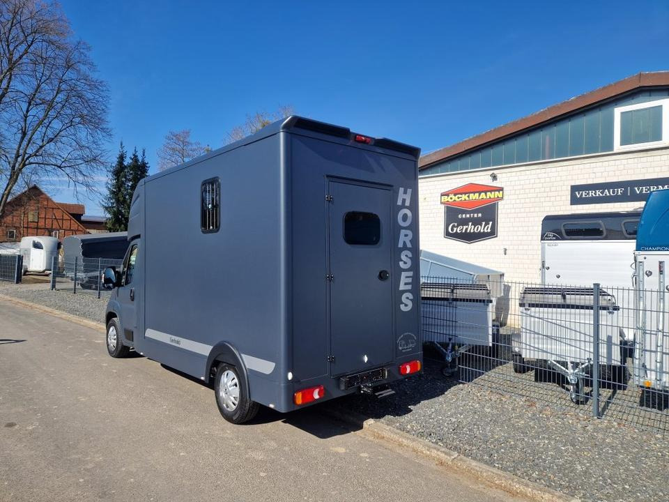 MSG Stablehopper Pferdetransporter Pferdeanhänger Böckmann - Auto na přepravu koní: obrázek 4 MSG Stablehopper Pferdetransporter Pferdeanhänger Böckmann - Auto na přepravu koní: obrázek 4