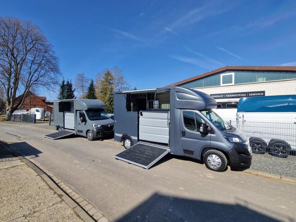 MSG Stablehopper Pferdetransporter Pferdeanhänger Böckmann - Auto na přepravu koní: obrázek 1 MSG Stablehopper Pferdetransporter Pferdeanhänger Böckmann - Auto na přepravu koní: obrázek 1