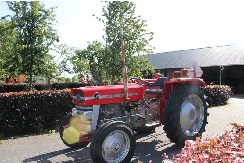 Massey Ferguson 135 - Traktor: obrázek 5 Massey Ferguson 135 - Traktor: obrázek 5