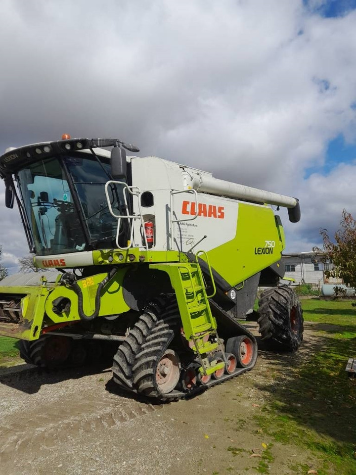 Claas LEXION 750 RISO - Sklízecí mlátička: obrázek 2 Claas LEXION 750 RISO - Sklízecí mlátička: obrázek 2