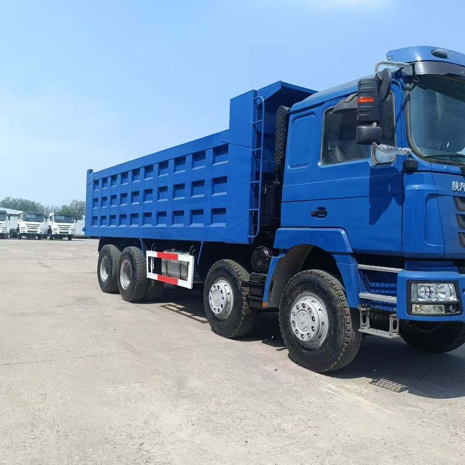SHACMAN F3000 8X4 Click Here For DISCOUNT - Sklápěč: obrázek 3 SHACMAN F3000 8X4 Click Here For DISCOUNT - Sklápěč: obrázek 3