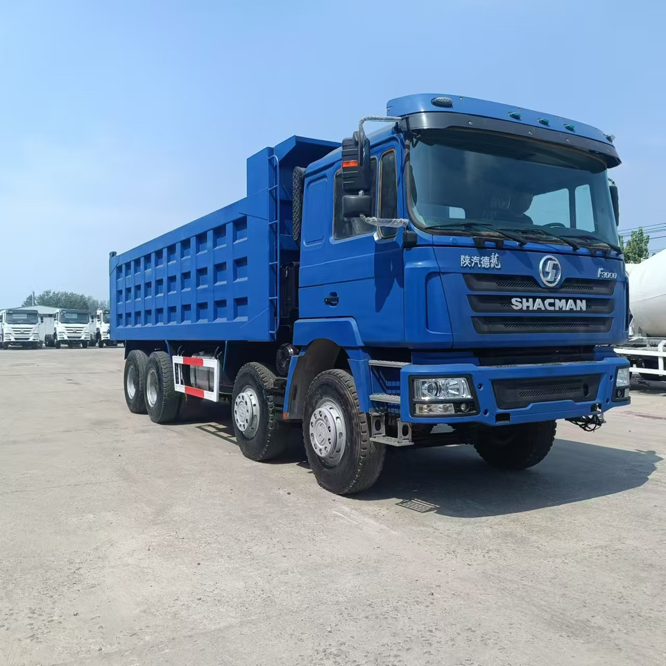 SHACMAN F3000 8X4 Click Here For DISCOUNT - Sklápěč: obrázek 2 SHACMAN F3000 8X4 Click Here For DISCOUNT - Sklápěč: obrázek 2