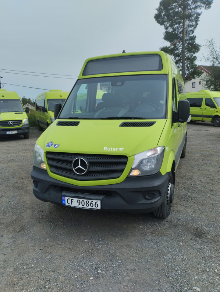 MERCEDES-BENZ SPRINTER 516 | 10 szt./pcs. - Minibus, Mikrobus: obrázek 1 MERCEDES-BENZ SPRINTER 516 | 10 szt./pcs. - Minibus, Mikrobus: obrázek 1