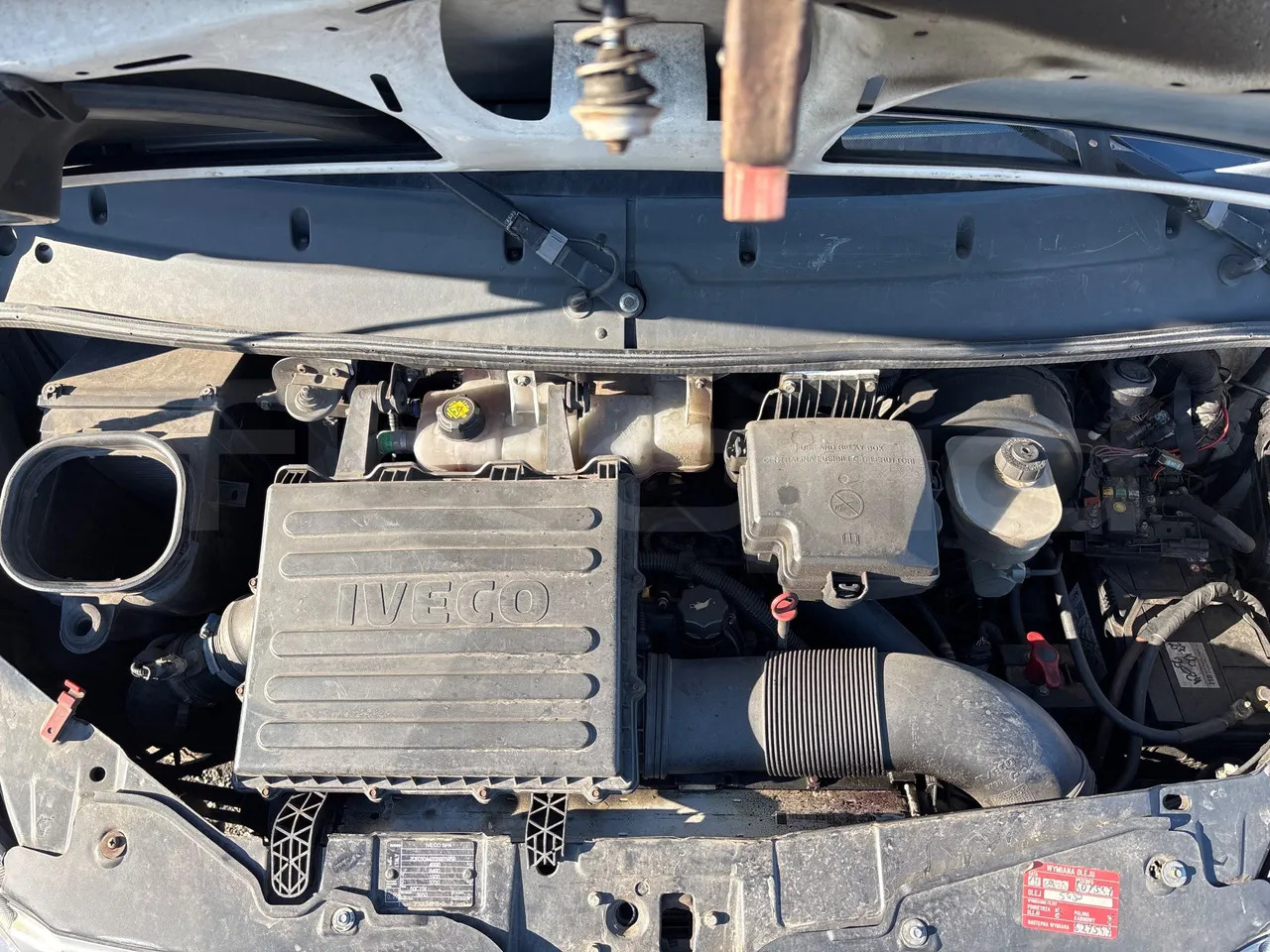 Minibus, Mikrobus Iveco Daily: obrázek 14