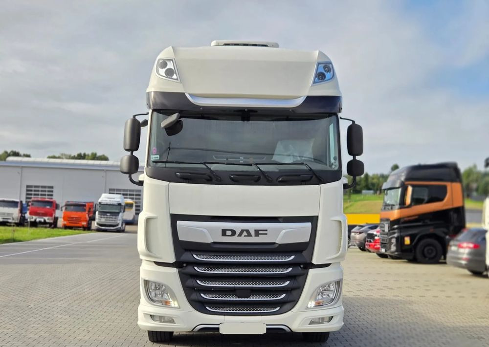 DAF XF 480 SSC - Tahač: obrázek 3 DAF XF 480 SSC - Tahač: obrázek 3