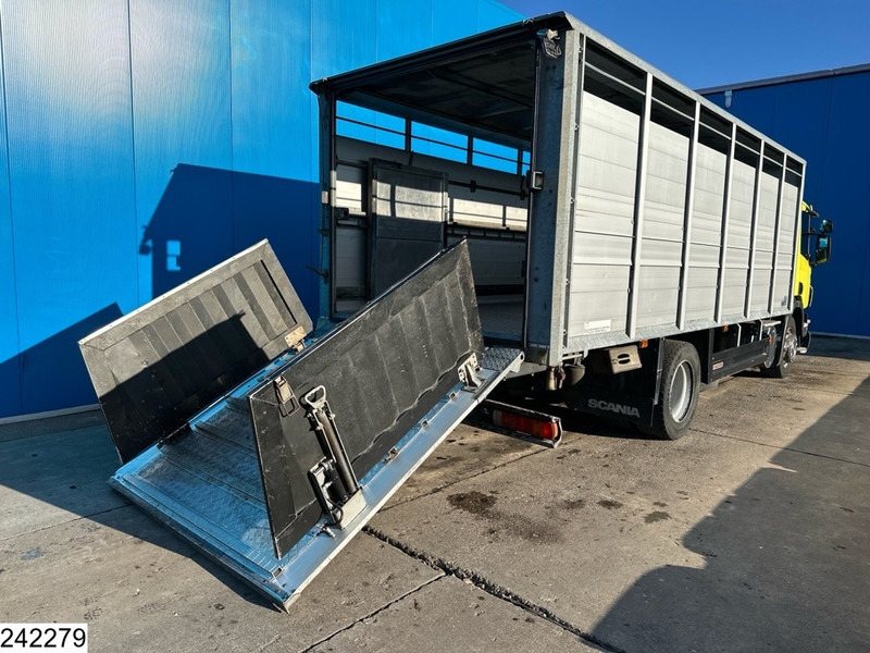 Scania P 320 EURO 5, Manual transmission, Retarder - Přepravník zvířat: obrázek 4 Scania P 320 EURO 5, Manual transmission, Retarder - Přepravník zvířat: obrázek 4