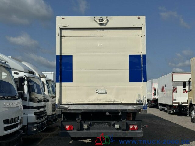 Schmitz Cargobull Schmitz Thermo King SLX Spectrum Tiefkühler -20° - Chladírenský návěs: obrázek 3 Schmitz Cargobull Schmitz Thermo King SLX Spectrum Tiefkühler -20° - Chladírenský návěs: obrázek 3