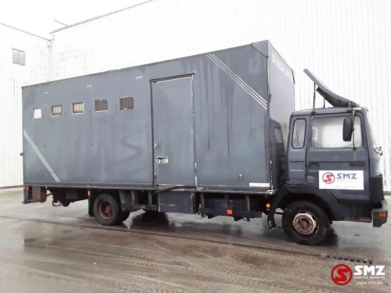 Iveco Magirus 80 16 horse truck - Přepravník zvířat: obrázek 4 Iveco Magirus 80 16 horse truck - Přepravník zvířat: obrázek 4