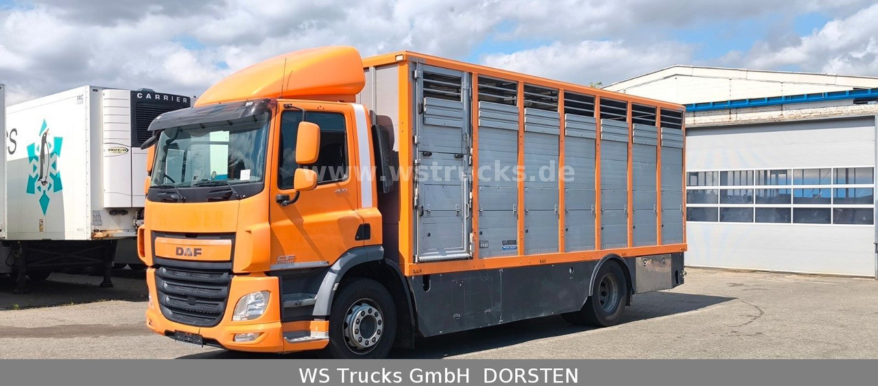 DAF CF 400 Menke Einstock - Auto na přepravu koní: obrázek 2 DAF CF 400 Menke Einstock - Auto na přepravu koní: obrázek 2