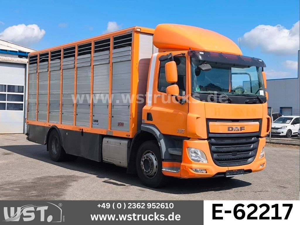 DAF CF 400 Menke Einstock - Auto na přepravu koní: obrázek 1 DAF CF 400 Menke Einstock - Auto na přepravu koní: obrázek 1