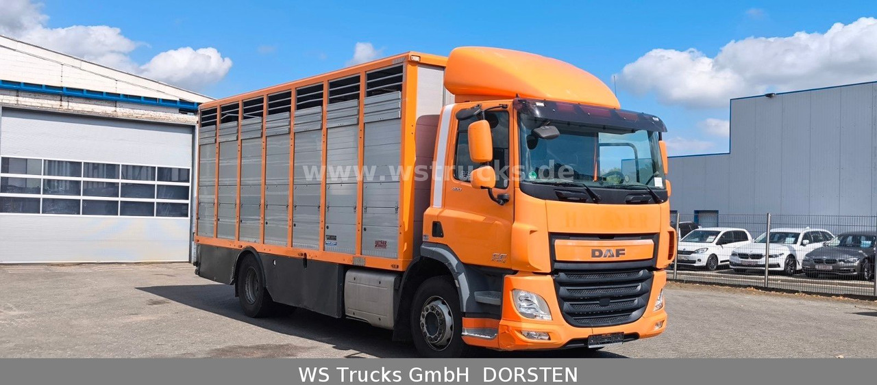 DAF CF 400 Menke Einstock - Auto na přepravu koní: obrázek 4 DAF CF 400 Menke Einstock - Auto na přepravu koní: obrázek 4