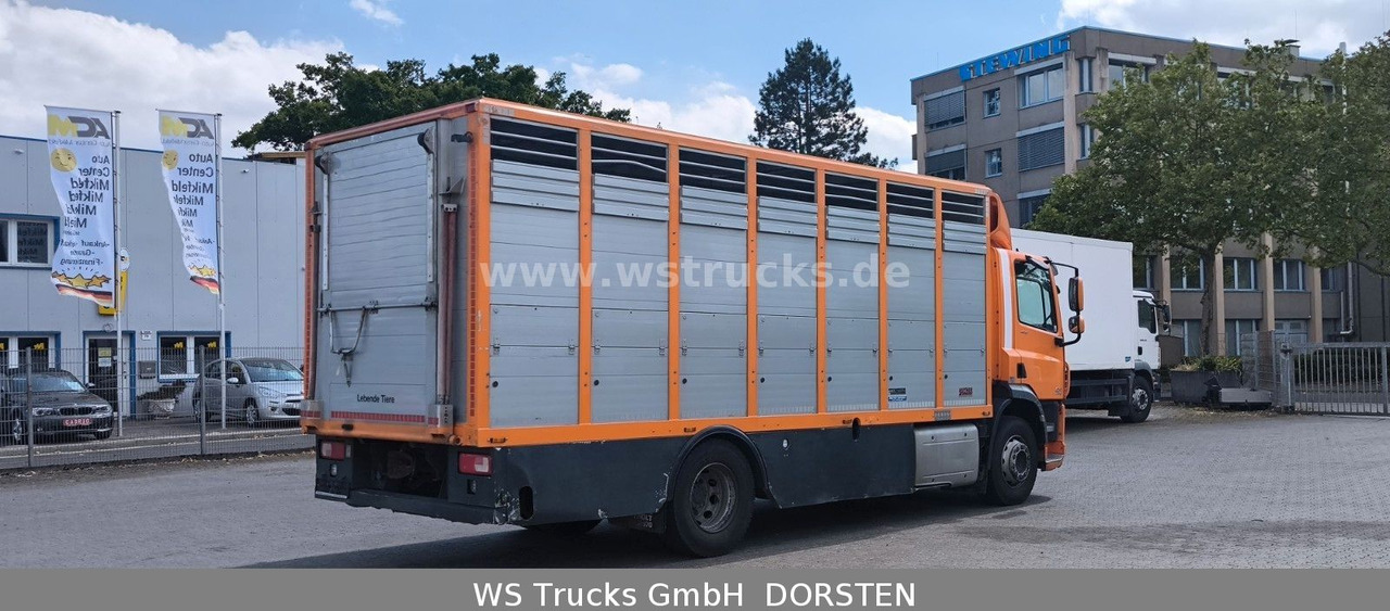 DAF CF 400 Menke Einstock - Auto na přepravu koní: obrázek 5 DAF CF 400 Menke Einstock - Auto na přepravu koní: obrázek 5