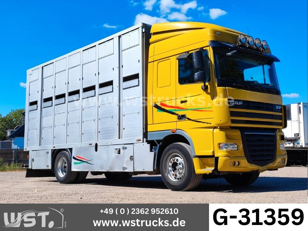 DAF XF 410 SC Menke Doppelstock - Auto na přepravu koní: obrázek 1 DAF XF 410 SC Menke Doppelstock - Auto na přepravu koní: obrázek 1