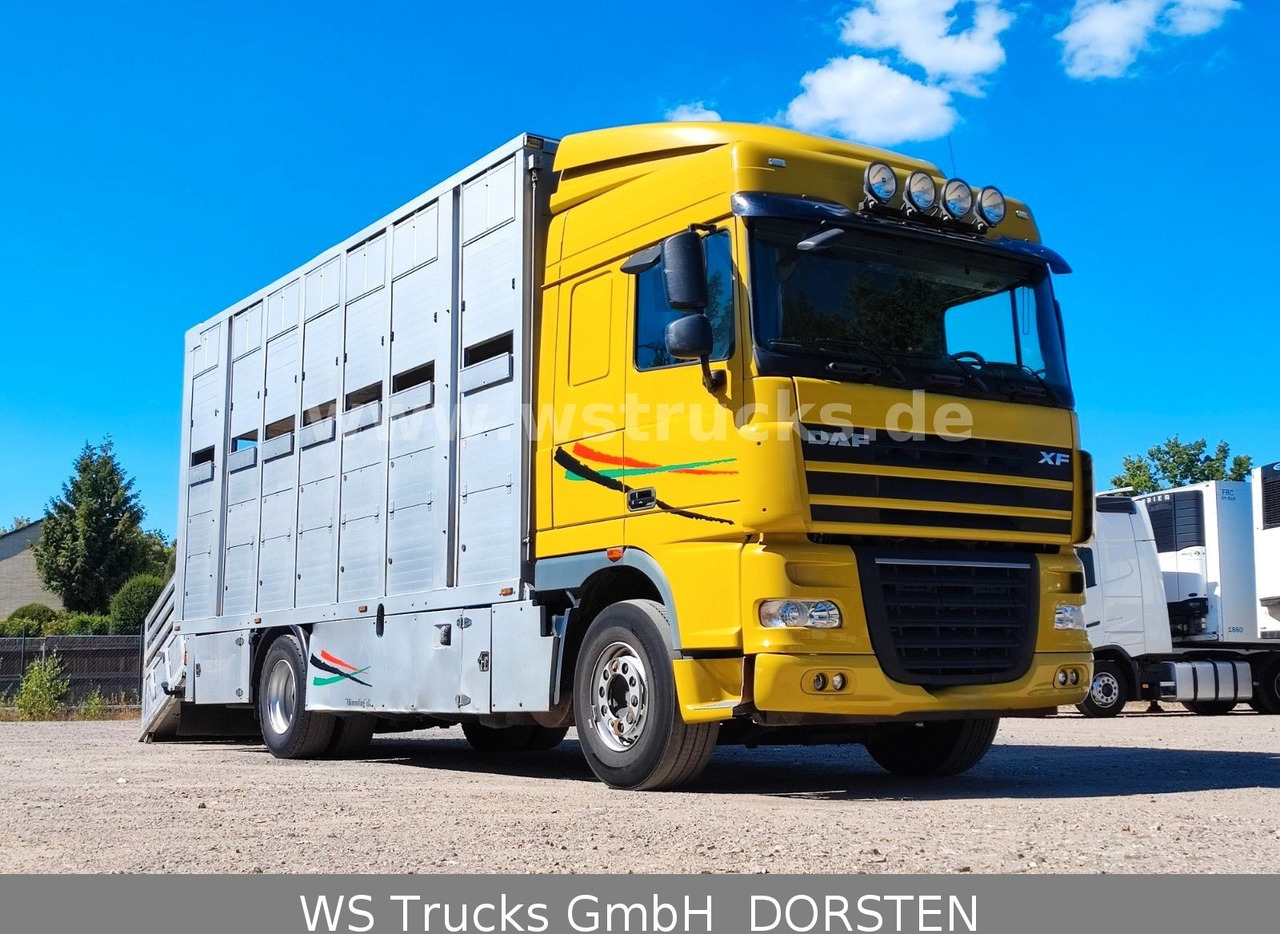 DAF XF 410 SC Menke Doppelstock - Auto na přepravu koní: obrázek 4 DAF XF 410 SC Menke Doppelstock - Auto na přepravu koní: obrázek 4
