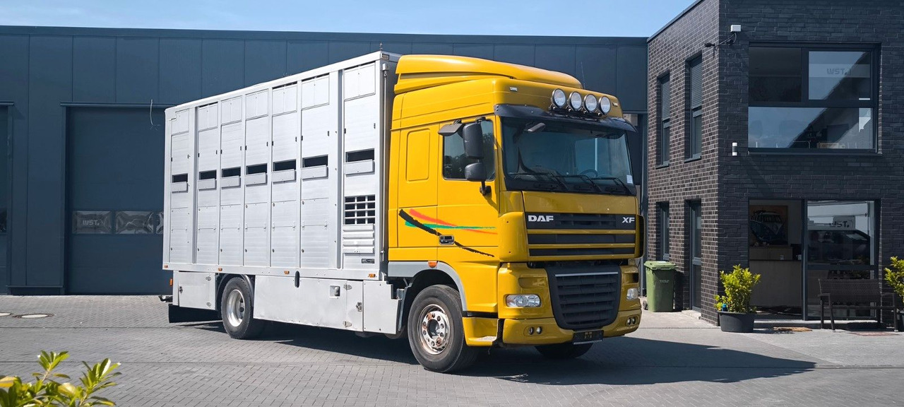 DAF XF 410 SC Menke Doppelstock - Auto na přepravu koní: obrázek 2 DAF XF 410 SC Menke Doppelstock - Auto na přepravu koní: obrázek 2