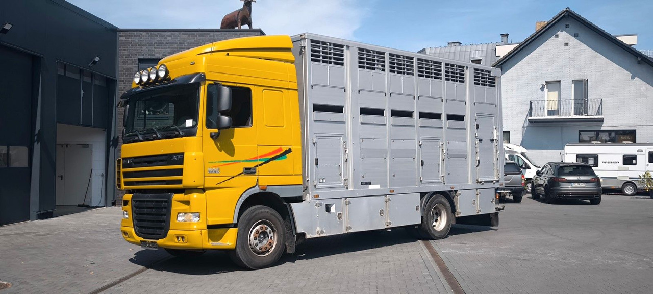 DAF XF 410 SC Menke Doppelstock - Auto na přepravu koní: obrázek 5 DAF XF 410 SC Menke Doppelstock - Auto na přepravu koní: obrázek 5