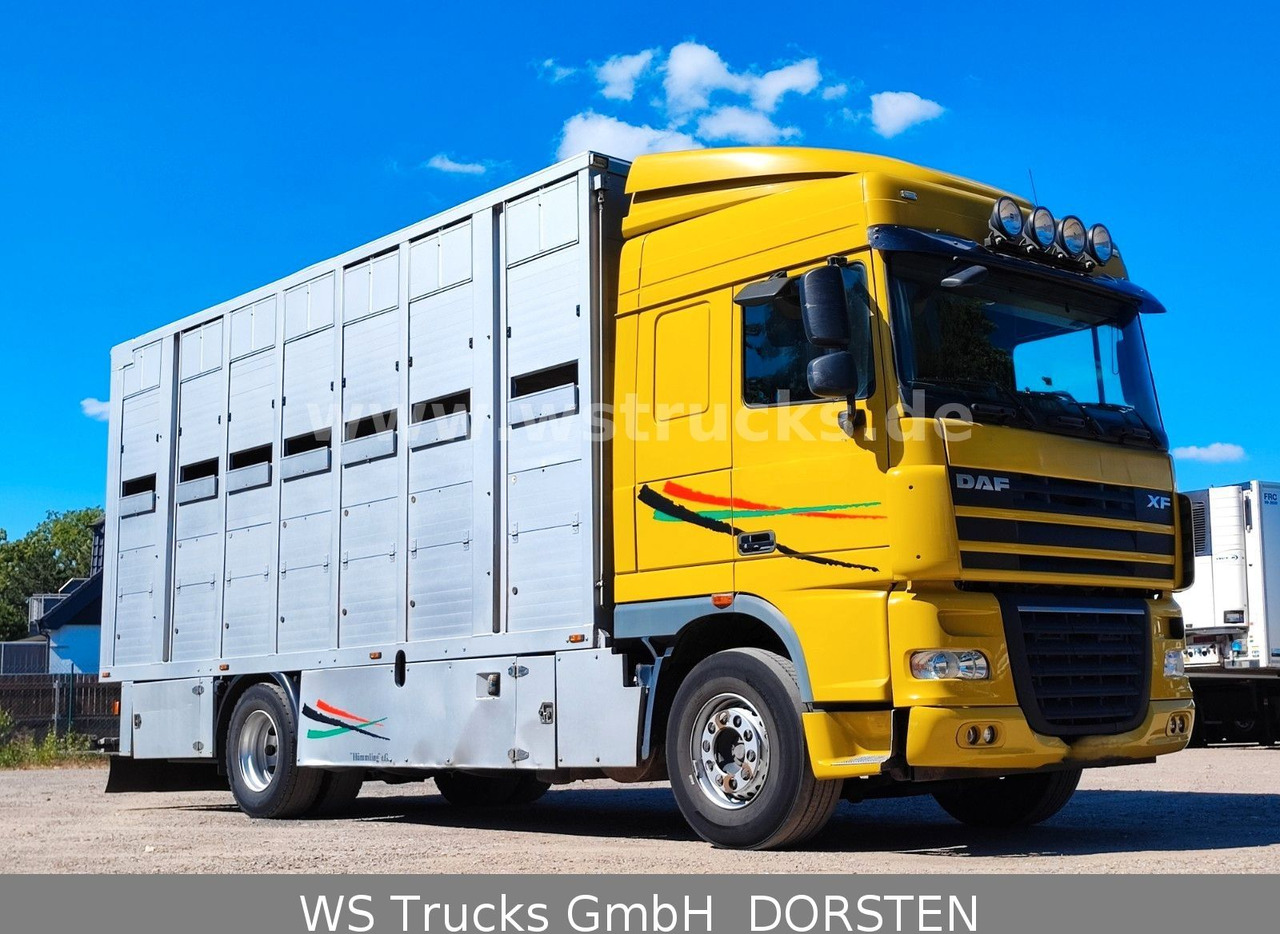 DAF XF 410 SC Menke Doppelstock - Auto na přepravu koní: obrázek 2 DAF XF 410 SC Menke Doppelstock - Auto na přepravu koní: obrázek 2