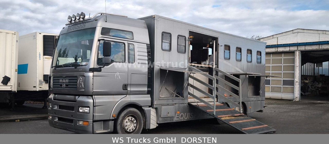 MAN TGA 26.480 FG 6x2 Pferdetransporter Luft/Luft - Auto na přepravu koní: obrázek 1 MAN TGA 26.480 FG 6x2 Pferdetransporter Luft/Luft - Auto na přepravu koní: obrázek 1