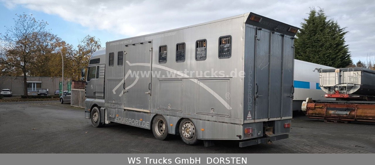 MAN TGA 26.480 FG 6x2 Pferdetransporter Luft/Luft - Auto na přepravu koní: obrázek 5 MAN TGA 26.480 FG 6x2 Pferdetransporter Luft/Luft - Auto na přepravu koní: obrázek 5