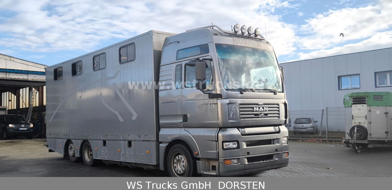 MAN TGA 26.480 FG 6x2 Pferdetransporter Luft/Luft - Auto na přepravu koní: obrázek 3 MAN TGA 26.480 FG 6x2 Pferdetransporter Luft/Luft - Auto na přepravu koní: obrázek 3