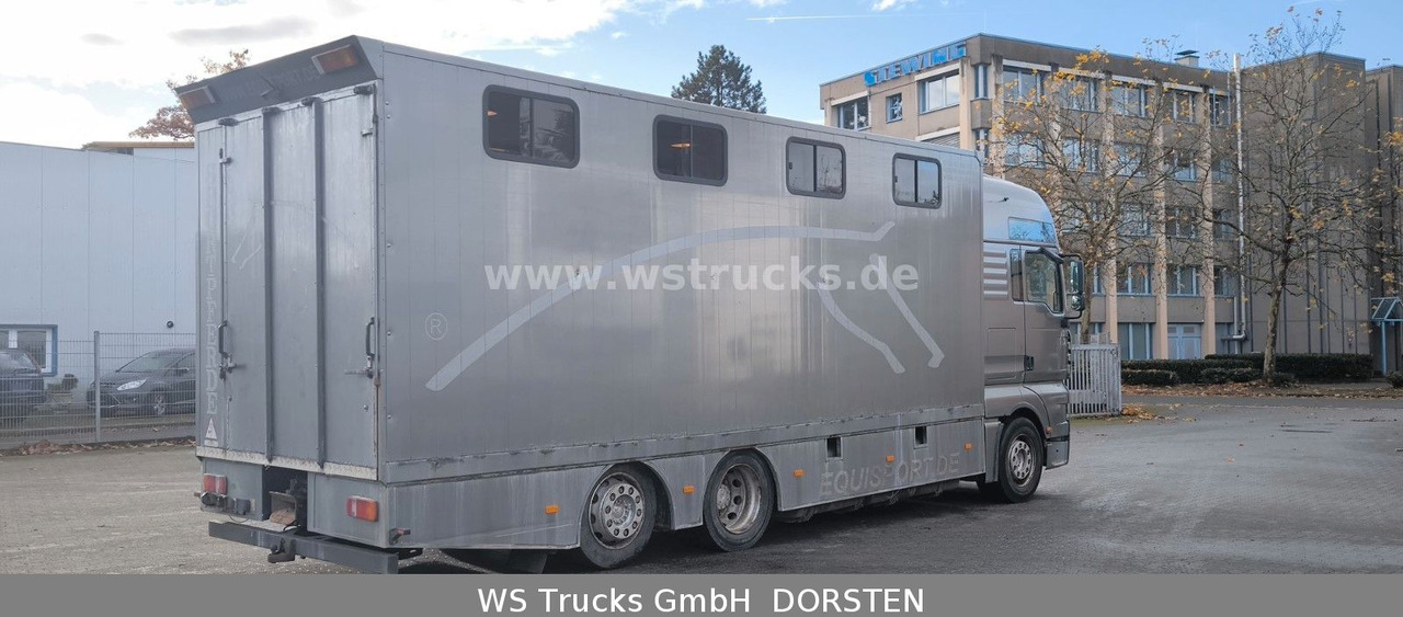 MAN TGA 26.480 FG 6x2 Pferdetransporter Luft/Luft - Auto na přepravu koní: obrázek 4 MAN TGA 26.480 FG 6x2 Pferdetransporter Luft/Luft - Auto na přepravu koní: obrázek 4