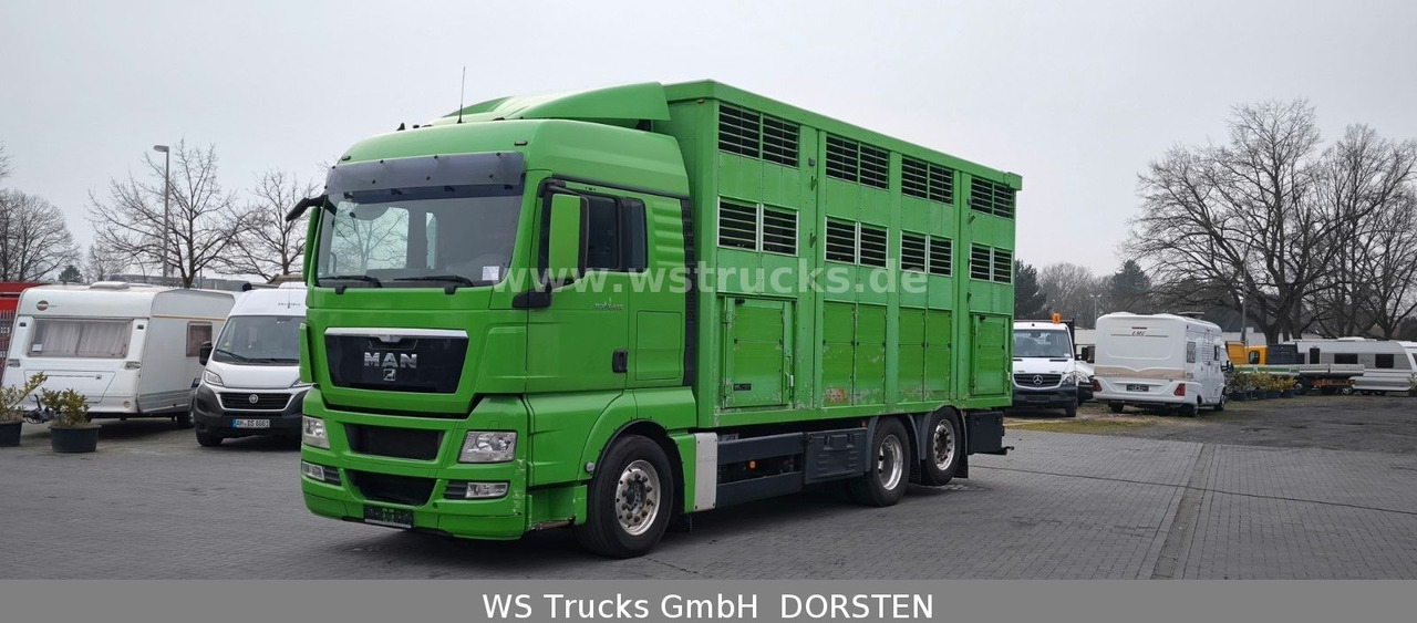 MAN TGX 26.480 XL KABA 3 Stock Viehtransporter - Auto na přepravu koní: obrázek 2 MAN TGX 26.480 XL KABA 3 Stock Viehtransporter - Auto na přepravu koní: obrázek 2
