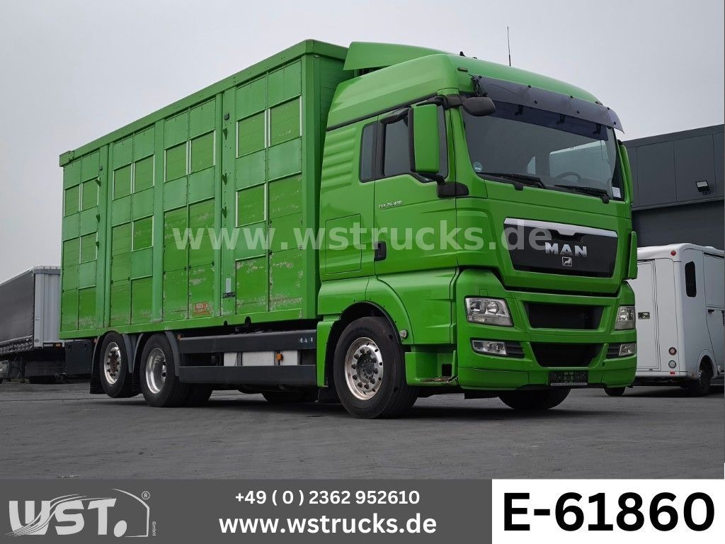 MAN TGX 26.480 XL KABA 3 Stock Vollalu - Auto na přepravu koní: obrázek 1 MAN TGX 26.480 XL KABA 3 Stock Vollalu - Auto na přepravu koní: obrázek 1