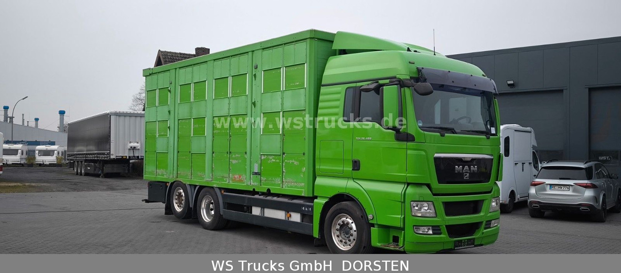 MAN TGX 26.480 XL KABA 3 Stock Vollalu - Auto na přepravu koní: obrázek 3 MAN TGX 26.480 XL KABA 3 Stock Vollalu - Auto na přepravu koní: obrázek 3
