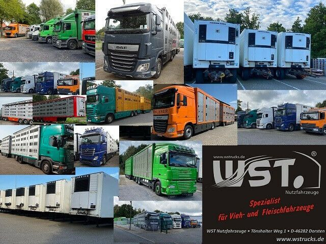 Chladírenský nákladní automobil Mercedes-Benz Atego 1222  Kiesling Thermoking T800R: obrázek 20