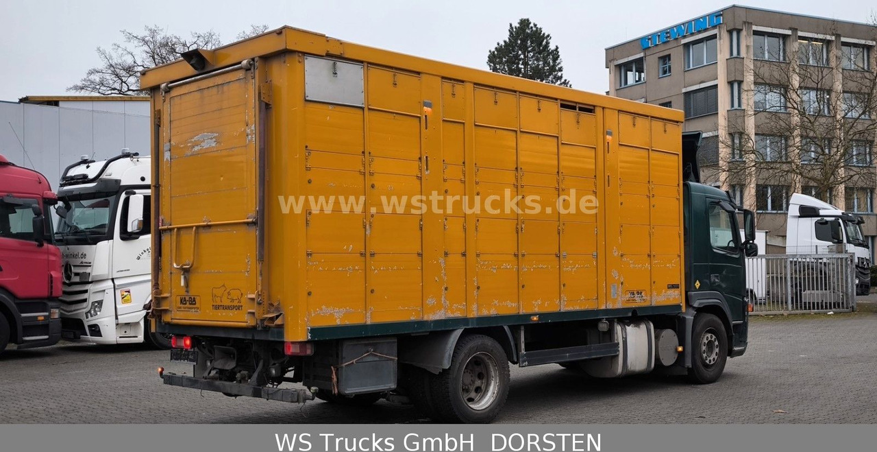 Volvo FM 260 mit KABA 2 Stock Vollalu Viehtransporter - Auto na přepravu koní: obrázek 4 Volvo FM 260 mit KABA 2 Stock Vollalu Viehtransporter - Auto na přepravu koní: obrázek 4
