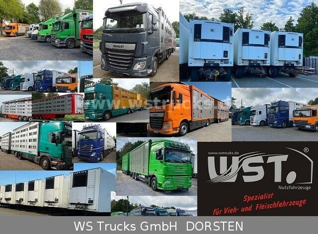Přívěs na přepravu zvířat WST Edition 4500 3500kg Viehanhänger: obrázek 24 Přívěs na přepravu zvířat WST Edition 4500 3500kg Viehanhänger: obrázek 24