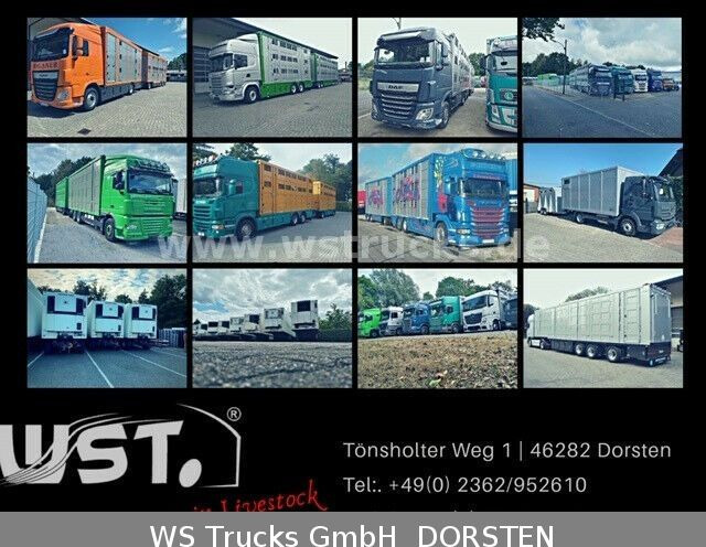 Přívěs na přepravu zvířat WST Edition 4500 3500kg Viehanhänger: obrázek 26 Přívěs na přepravu zvířat WST Edition 4500 3500kg Viehanhänger: obrázek 26