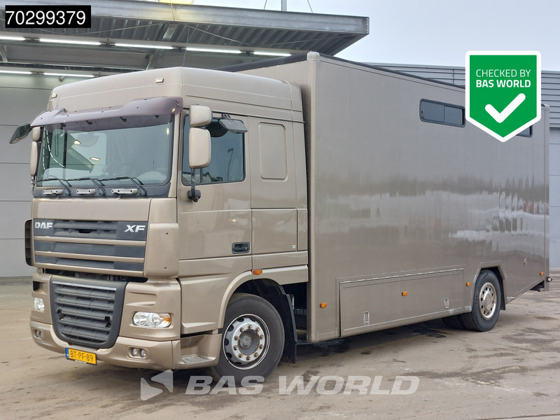 DAF XF105.410 XF 4X2 NL-Truck JK Horsetruck 6 Horses Pferdentransport Manual Euro 5 - Auto na přepravu koní: obrázek 1 DAF XF105.410 XF 4X2 NL-Truck JK Horsetruck 6 Horses Pferdentransport Manual Euro 5 - Auto na přepravu koní: obrázek 1