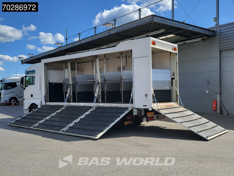 MAN TGX 26.480 TGX 6X2 NL-Truck BDF HorseTransport Lift+steering axle Standklima Automatic Xenon Alcoa´s Euro 5 - Kontejnérový podvozek/ Výměnná nástavba: obrázek 2 MAN TGX 26.480 TGX 6X2 NL-Truck BDF HorseTransport Lift+steering axle Standklima Automatic Xenon Alcoa´s Euro 5 - Kontejnérový podvozek/ Výměnná nástavba: obrázek 2