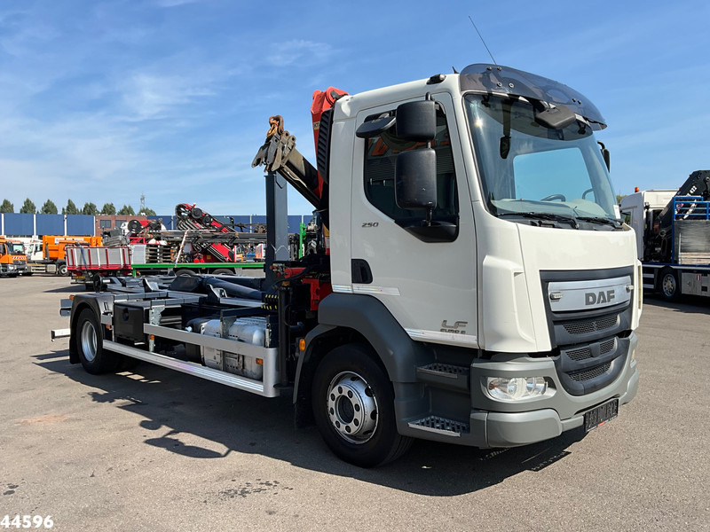 DAF FA LF 250 Euro 6 Palfinger 6,5 Tonmeter laadkraan - Hákový nosič kontejnerů, Auto s hydraulickou rukou: obrázek 3 DAF FA LF 250 Euro 6 Palfinger 6,5 Tonmeter laadkraan - Hákový nosič kontejnerů, Auto s hydraulickou rukou: obrázek 3