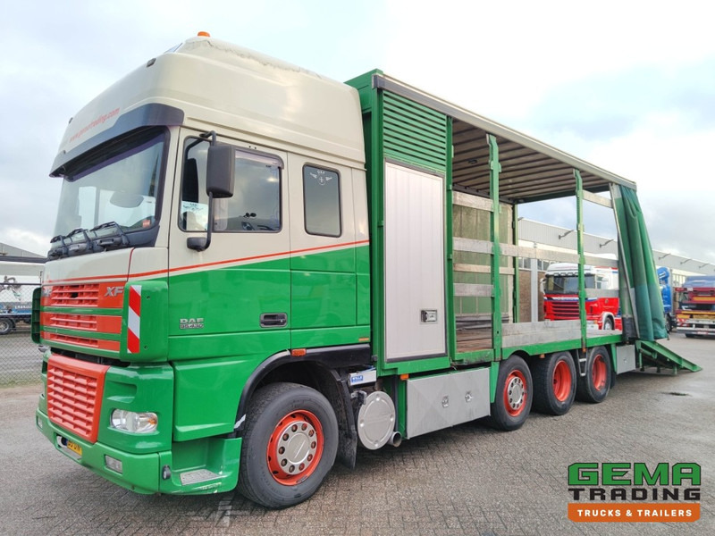 DAF FAK XF95.430 8x2 SuperSpaceCab Euro3 - CurtainSider 7.31m + Ramp 16T - MachineTransporter - 6 Persons (V558) - Přepravník automobilů: obrázek 1 DAF FAK XF95.430 8x2 SuperSpaceCab Euro3 - CurtainSider 7.31m + Ramp 16T - MachineTransporter - 6 Persons (V558) - Přepravník automobilů: obrázek 1