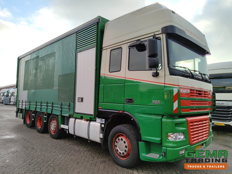 DAF FAK XF95.430 8x2 SuperSpaceCab Euro3 - CurtainSider 7.31m + Ramp 16T - MachineTransporter - 6 Persons (V558) - Přepravník automobilů: obrázek 3 DAF FAK XF95.430 8x2 SuperSpaceCab Euro3 - CurtainSider 7.31m + Ramp 16T - MachineTransporter - 6 Persons (V558) - Přepravník automobilů: obrázek 3
