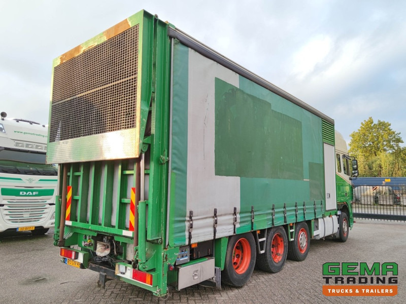 DAF FAK XF95.430 8x2 SuperSpaceCab Euro3 - CurtainSider 7.31m + Ramp 16T - MachineTransporter - 6 Persons (V558) - Přepravník automobilů: obrázek 4 DAF FAK XF95.430 8x2 SuperSpaceCab Euro3 - CurtainSider 7.31m + Ramp 16T - MachineTransporter - 6 Persons (V558) - Přepravník automobilů: obrázek 4
